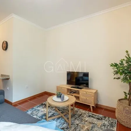 Appartement Moniz Centro I *